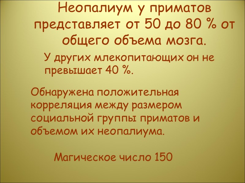 Неопалиум у приматов представляет от 50 до 80 % от общего объема мозга. 